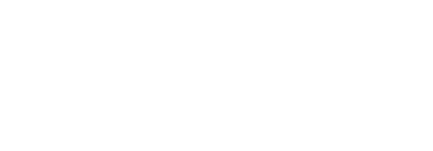 Ostera AI Connect